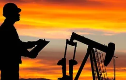 IEA lạc quan về thị trường dầu mỏ toàn cầu