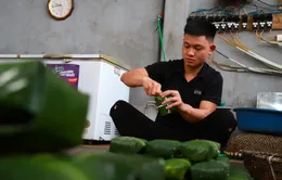 Hà Nội: Làng bánh chưng Tranh Khúc hối hả vào vụ Tết