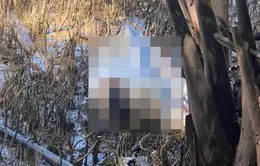 Bến Tre: Phát hiện thi thể người phụ nữ nghi bị giết rồi phi tang xác dưới sông