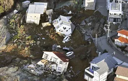 Thủ tướng Chính phủ gửi điện thăm hỏi tình hình động đất - sóng thần tại Nhật Bản