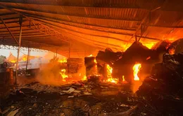 Cháy lớn tại xưởng gỗ hoạt động "chui" ở Phú Thọ