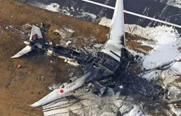 4 người sống sót trong vụ rơi máy bay ở Nga