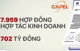 Lừa đảo chiếm đoạn hơn 700 tỷ đồng nhờ chiêu hợp tác kinh doanh trả lãi khủng