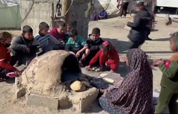 Tình trạng đói ăn phủ khắp Dải Gaza, hơn 10.000 trẻ em có nguy cơ gầy mòn