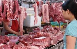 Giá thịt lợn giảm mạnh