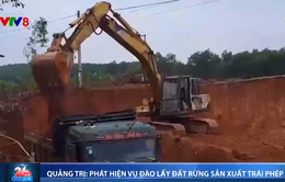 Quảng Trị phát hiện vụ đào lấy đất rừng sản xuất trái phép quy mô lớn