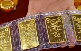 Giá vàng giảm 500 nghìn đồng/lượng sau một đêm
