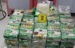 Phá đường dây ma túy xuyên quốc gia, thu giữ 290kg ma túy các loại