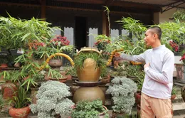 Chàng nghệ nhân bonsai 9x với khát khao lan tỏa giá trị cây tre Việt Nam