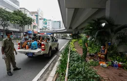 TP Hồ Chí Minh mở đợt cao điểm thu dung người vô gia cư, lang thang