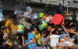 WFP tạm ngừng hoạt động nhân đạo tại Gaza