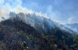 Bùng phát điểm cháy rừng mới tại Lào Cai