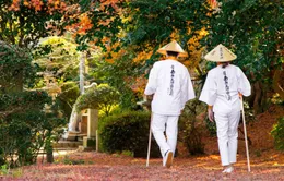 Hành trình tìm lại chính mình qua Shikoku Henro, chuyến hành hương di sản của Nhật Bản
