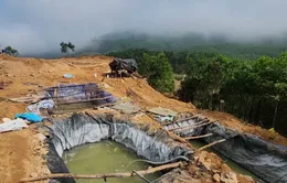 Quảng Nam: Tái diễn tình trạng khai thác vàng