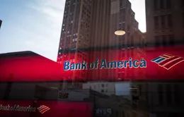 Bank of America giữ nguyên cổ tức ở mức 0,24 USD