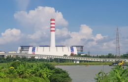 Ô nhiễm từ tình trạng tập kết trái phép tro xỉ của nhà máy nhiệt điện