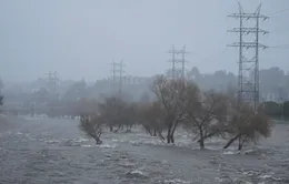 California: Cơn bão thứ hai trong tuần gây mưa lớn và mất điện