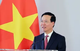 Chủ tịch nước ân giảm hình phạt tử hình xuống tù chung thân cho 5 bị án