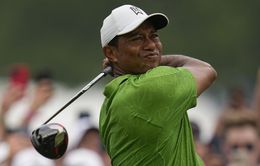 Tiger Woods tham dự giải Genesis Invitational 2024