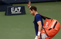 Andy Murray dự kiến giải nghệ vào mùa hè năm 2024