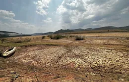 Hàng chục hồ chứa ở Trung Bộ, Tây Nguyên khô cạn, nhiều hộ dân thiếu nước sinh hoạt