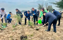 Vui Tết trồng cây 2024: “Bạn cứ trồng một cái cây, những chú chim ca hát sẽ tìm về”