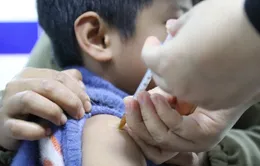 TP. Hồ Chí Minh đảm bảo nguồn vaccine phòng dại