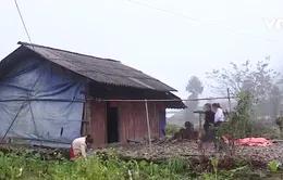 Cần linh hoạt và đa dạng sinh kế để người dân vùng núi thoát nghèo