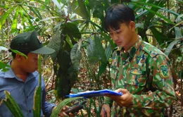 Chàng sinh viên người đồng bào miền núi được "chắp cánh ước mơ" từ ngày hội tuyển sinh