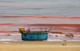 Nước biển ở Hà Tĩnh xuất hiện các vệt màu đỏ dài 3km