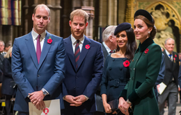 Mối quan hệ giữa Hoàng tử Harry - William có thể được hàn gắn