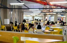 Thủ tướng yêu cầu chấn chỉnh hoạt động Trường Tiểu học, THCS, THPT quốc tế Mỹ tại TP Hồ Chí Minh