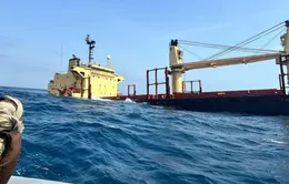 Nguy cơ thảm họa môi trường từ tàu hàng bị chìm ở Biển Đỏ