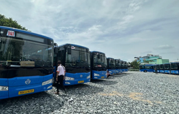 TP Hồ Chí Minh thay mới gần 240 ô tô cho 16 tuyến xe bus
