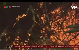 Tây Nguyên cảnh báo cao điểm cháy rừng mùa khô