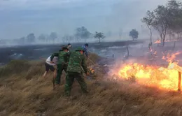 Nguy cơ cháy rừng ở nhiều khu vực trên cả nước