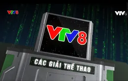 Các Giải thể thao tranh Cup VTV8 trong năm 2024 - Điểm hẹn của những người yêu thể thao toàn quốc