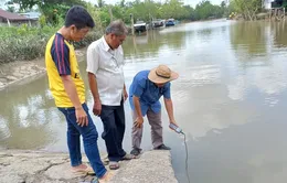 Xâm nhập mặn tại đồng bằng sông Cửu Long đạt đỉnh từ 10 - 13/3