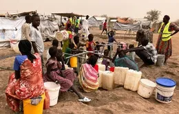 Hơn 25 triệu người đối mặt với khủng hoảng nhân đạo ở Sudan