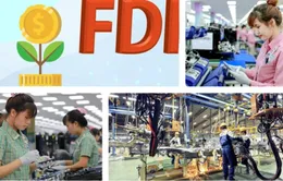 "May đo" chính sách thu hút FDI