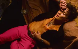 Cillian Murphy đang sống trong "kỷ nguyên Hollywood" của chính mình