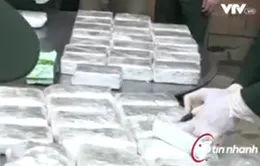 Bộ đội Biên phòng Hà Tĩnh phá chuyên án thu lượng lớn ma túy