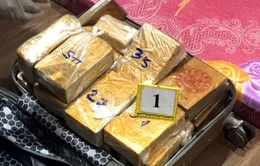 Phát hiện 184 bánh heroin trong căn hộ ở trung tâm TP Hồ Chí Minh