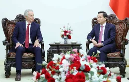 Phó Thủ tướng Lê Minh Khái tiếp cựu Thủ tướng Anh Tony Blair