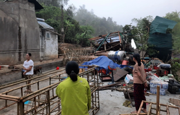 Mưa đá, dông lốc làm tốc mái hàng trăm căn nhà, hoa màu hư hại