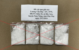 Triệt xoá đường dây ma túy số lượng lớn từ Hà Nội về Phú Thọ