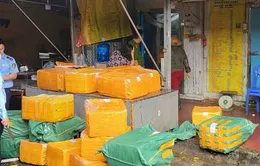 Hà Nội: Thu giữ hơn 1 tấn nầm lợn, đùi gà đông lạnh không rõ nguồn gốc