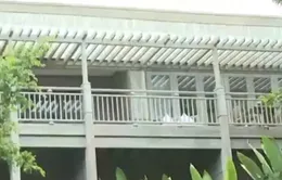 30 căn nhà gỗ xuất khẩu thành công đi Mỹ