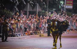 Cảnh sát cơ động kỵ binh biểu diễn trên đường phố Điện Biên