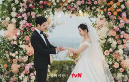 Top 10 phim Hàn đạt rating cao nhất lịch sử tvN